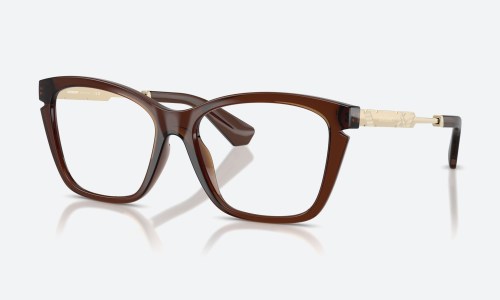 Burberry BE2427U 4116 Brown