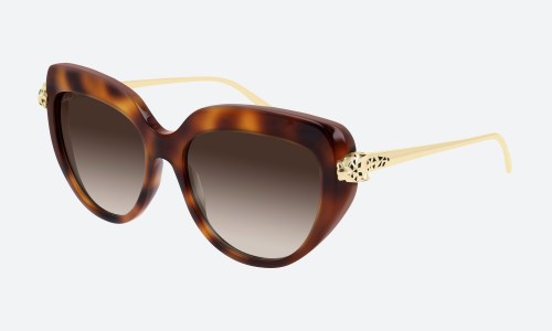 Cartier CT0214S 002 Havana