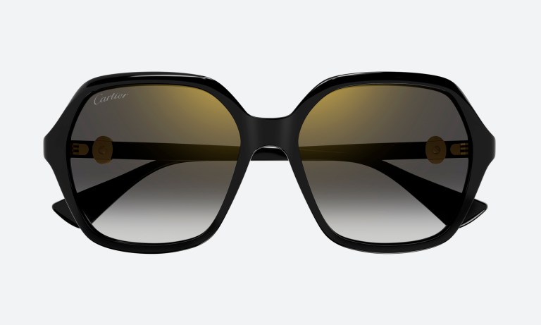 : Luxury sunglasses for women grouped by top brand categories