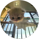 Shrisivaharinika .S.R profile picture