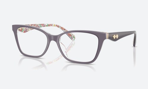 Coach HC6248U 5895 Purple