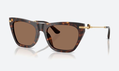 D&G DG4511 502/73 Havana