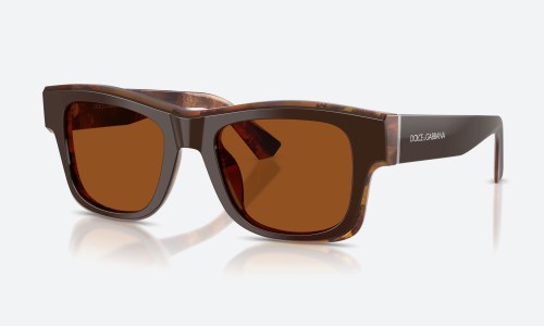 D&G DG4515 345673 Brown