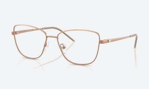 Emporio Armani EA1172 3400 Brown