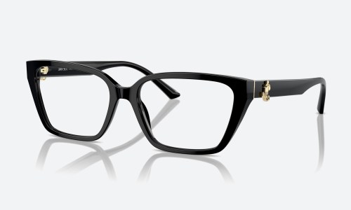 Jimmy Choo JC3008 5000 Black