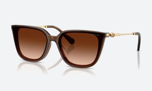 Swarovski SK6054D 108474 Brown