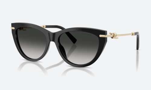 Tiffany TF4253 80013C Black