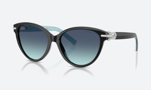 Tiffany TF4261 80559S Black
