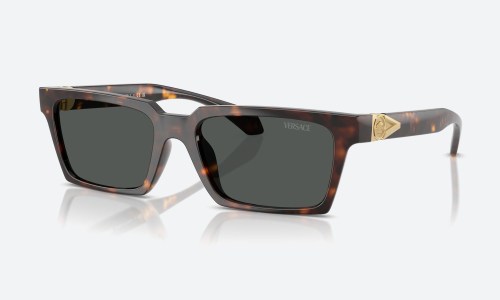 Versace VE4490U 108/87 Havana