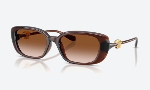 Versace VE4504D 533213 Brown