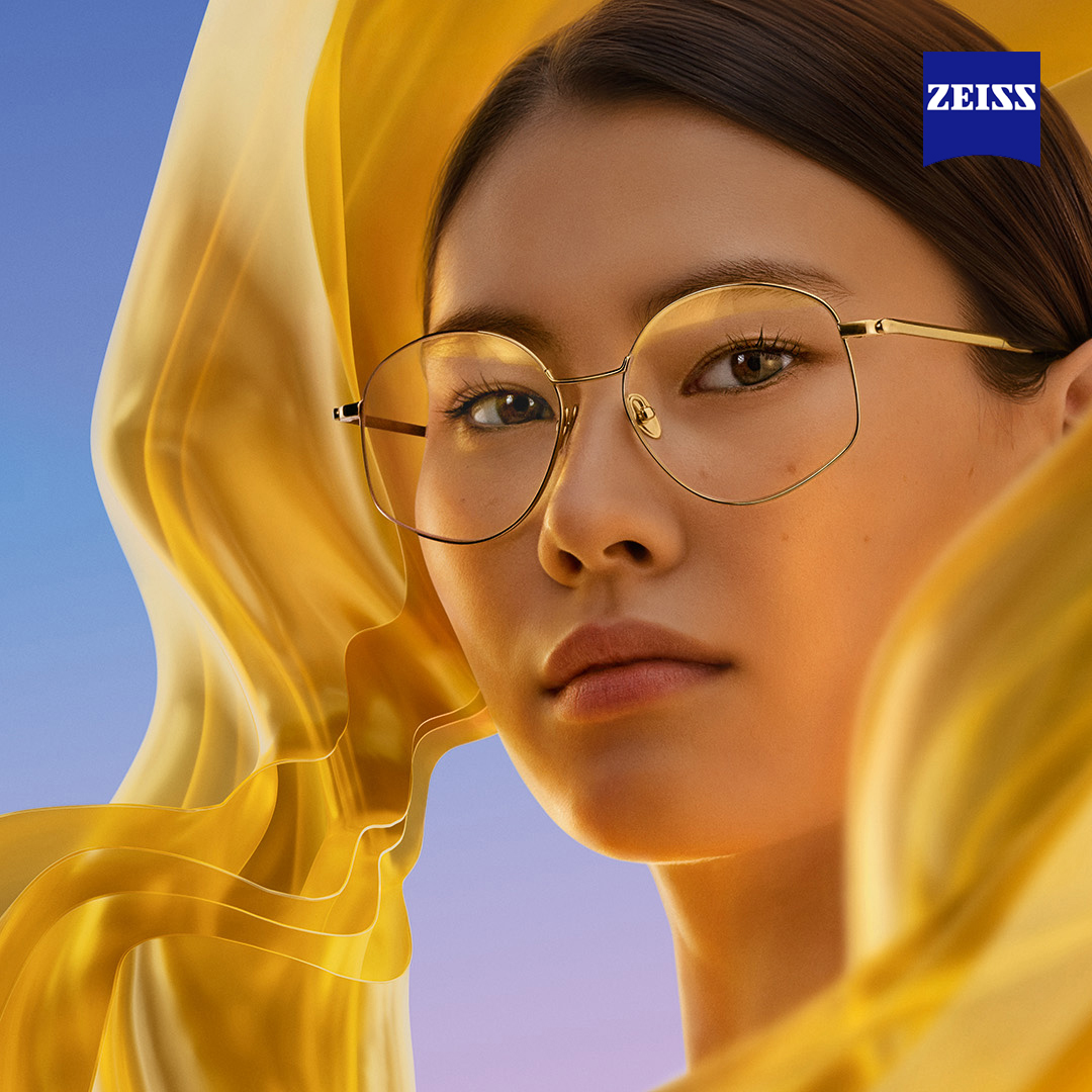 Frame fitting session for progressive lenses, progressive lenses